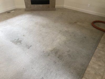 A living room with a dirty carpet and a fireplace.