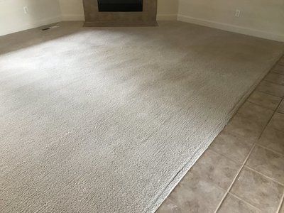 A living room with a large carpet and a fireplace.