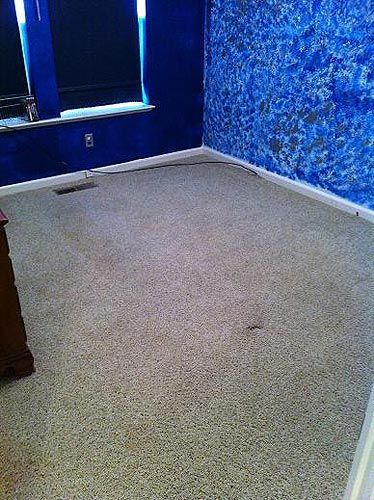 An empty room with a carpeted floor and blue walls.