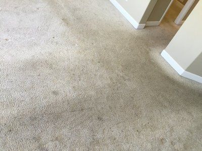 A close up of a dirty carpet in a living room.