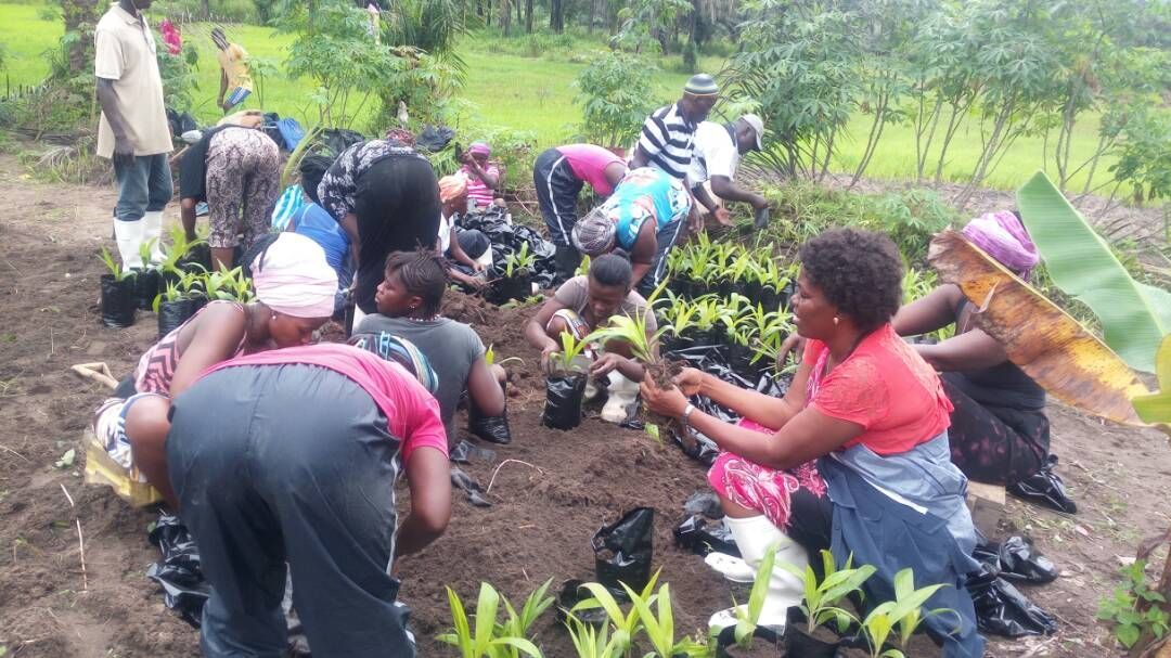 planting plants