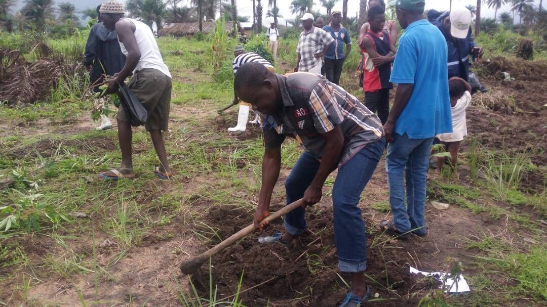 digging land