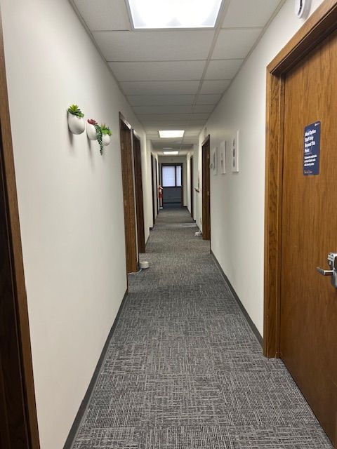 Hallway with doors on each side, white walls, gray carpet, and small plants on the left wall.