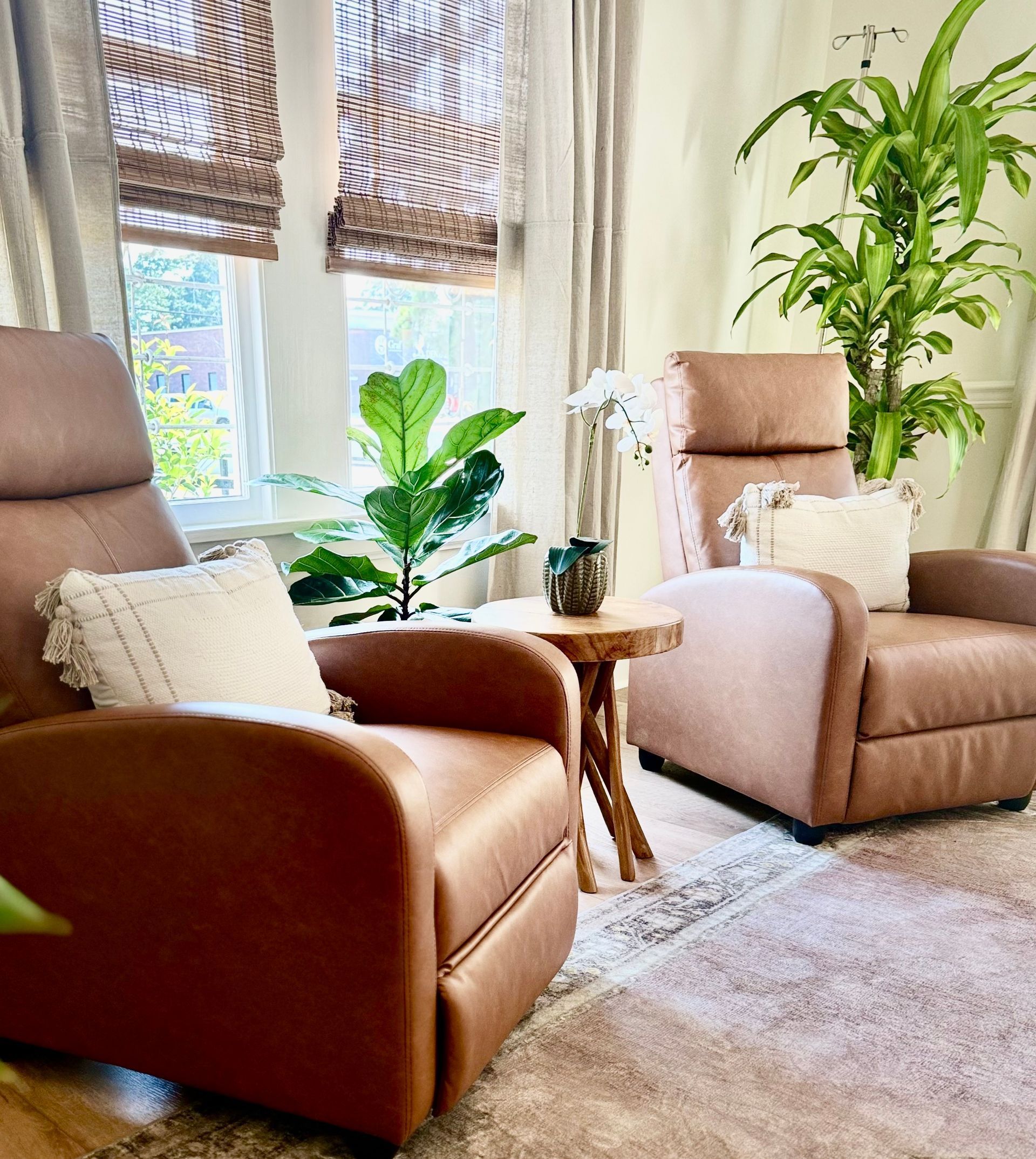 Two brown leather armchairs by a window with woven shades, a small wooden table, and indoor plants.