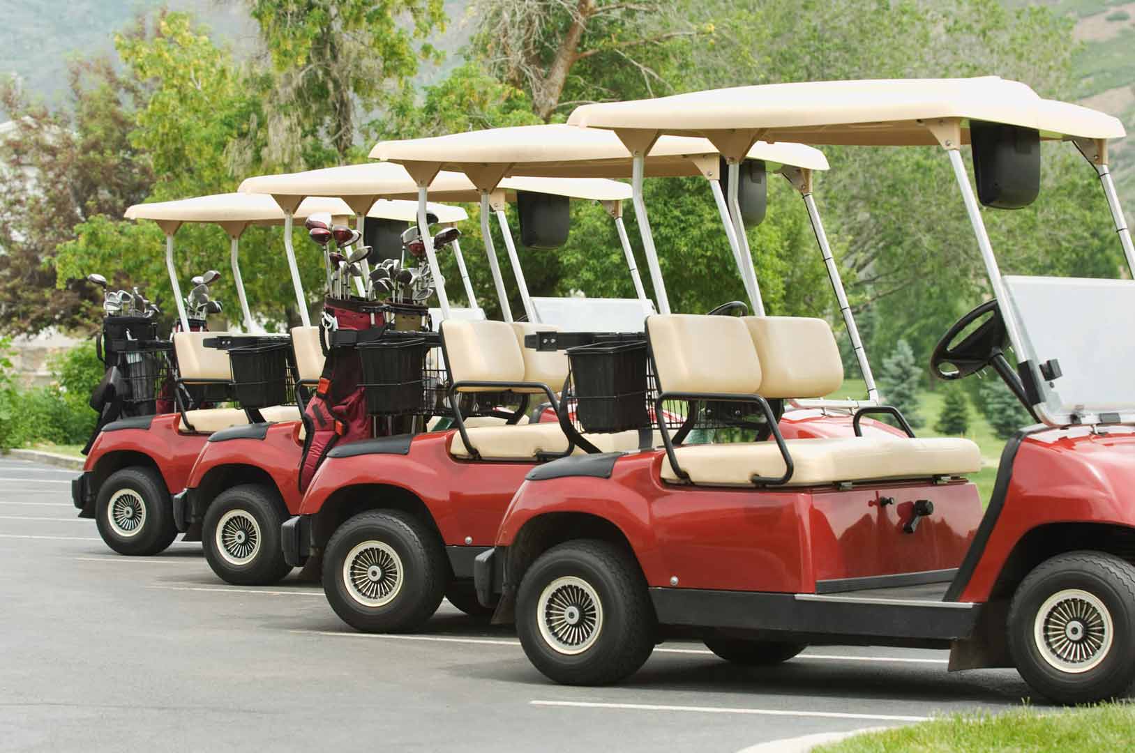 Product Galley Naples, FL Hole In One Golf Carts