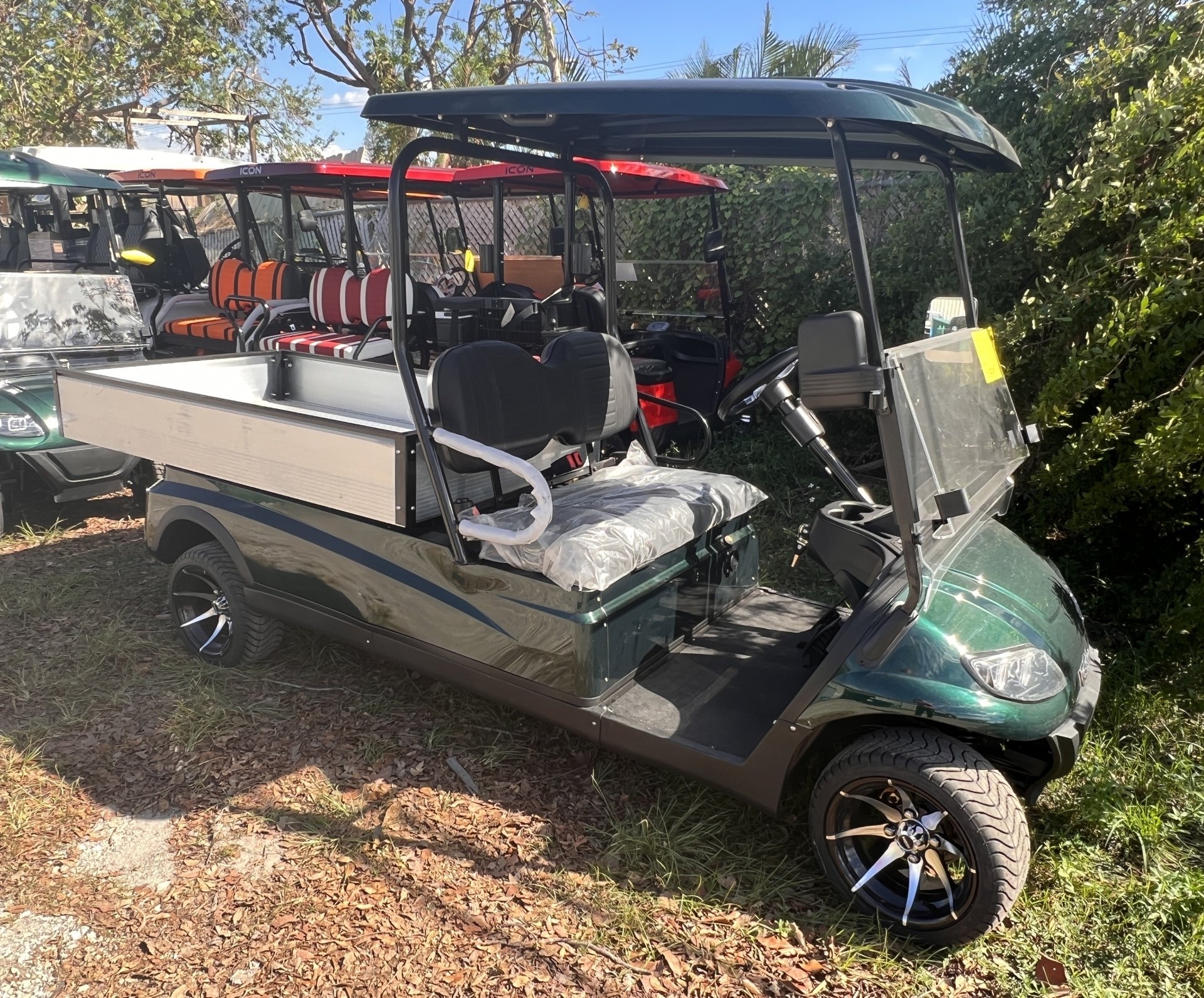 Affordable Golf Carts Naples, FL Hole In One Golf Carts