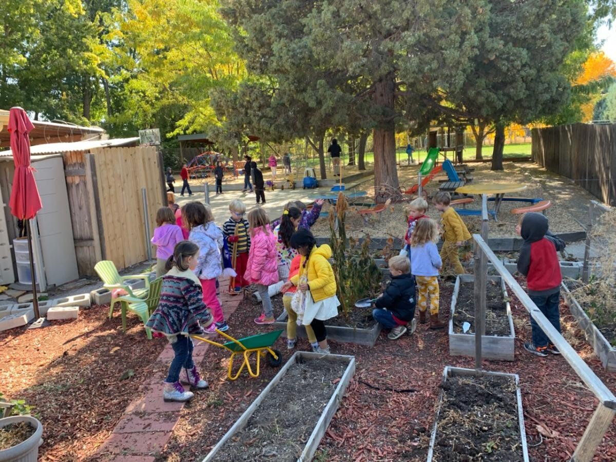 a group of children are working in a garden