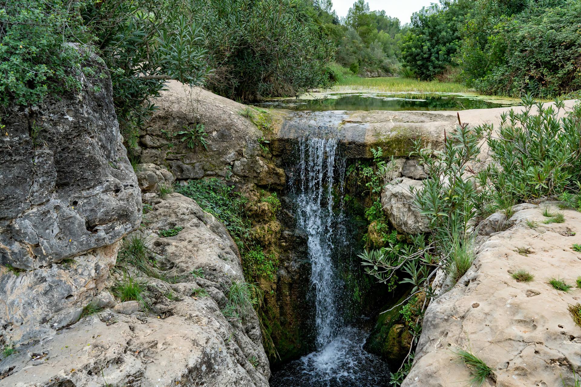 A small waterfall is surrounded by rocks and trees in the middle of a forest.