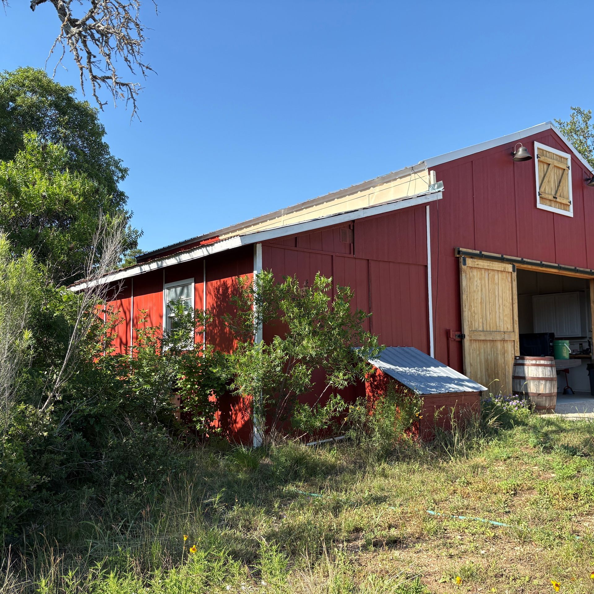 Red barn with open doorway and hay bales, surrounded by overgrown greenery under a clear blue sky