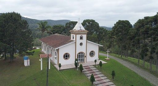 Palmeira