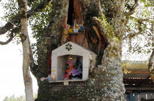 Gruta de Linda Vista