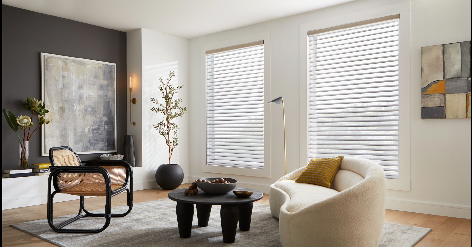 Motorized Roman Shade & Drapes in 4S Ranch, Rancho Bernardo, CA