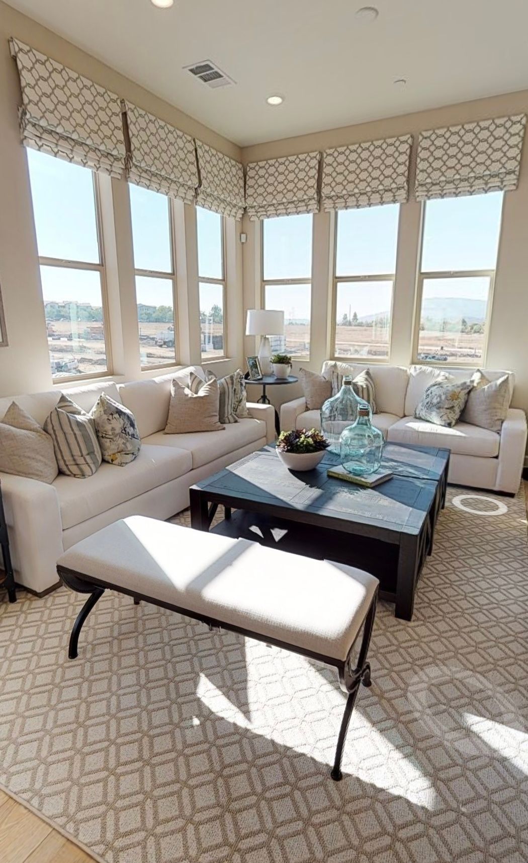 windows and blinds