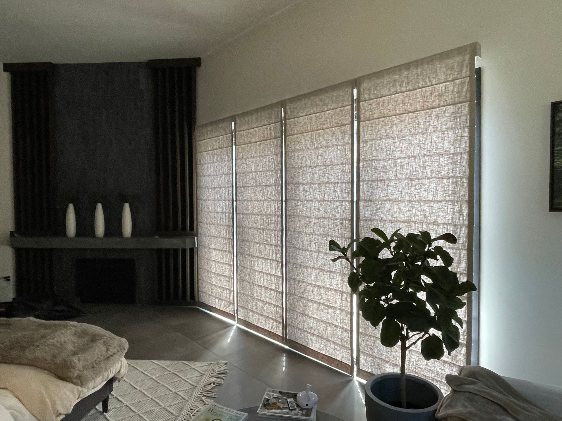 Somfy Motorizaed Shades