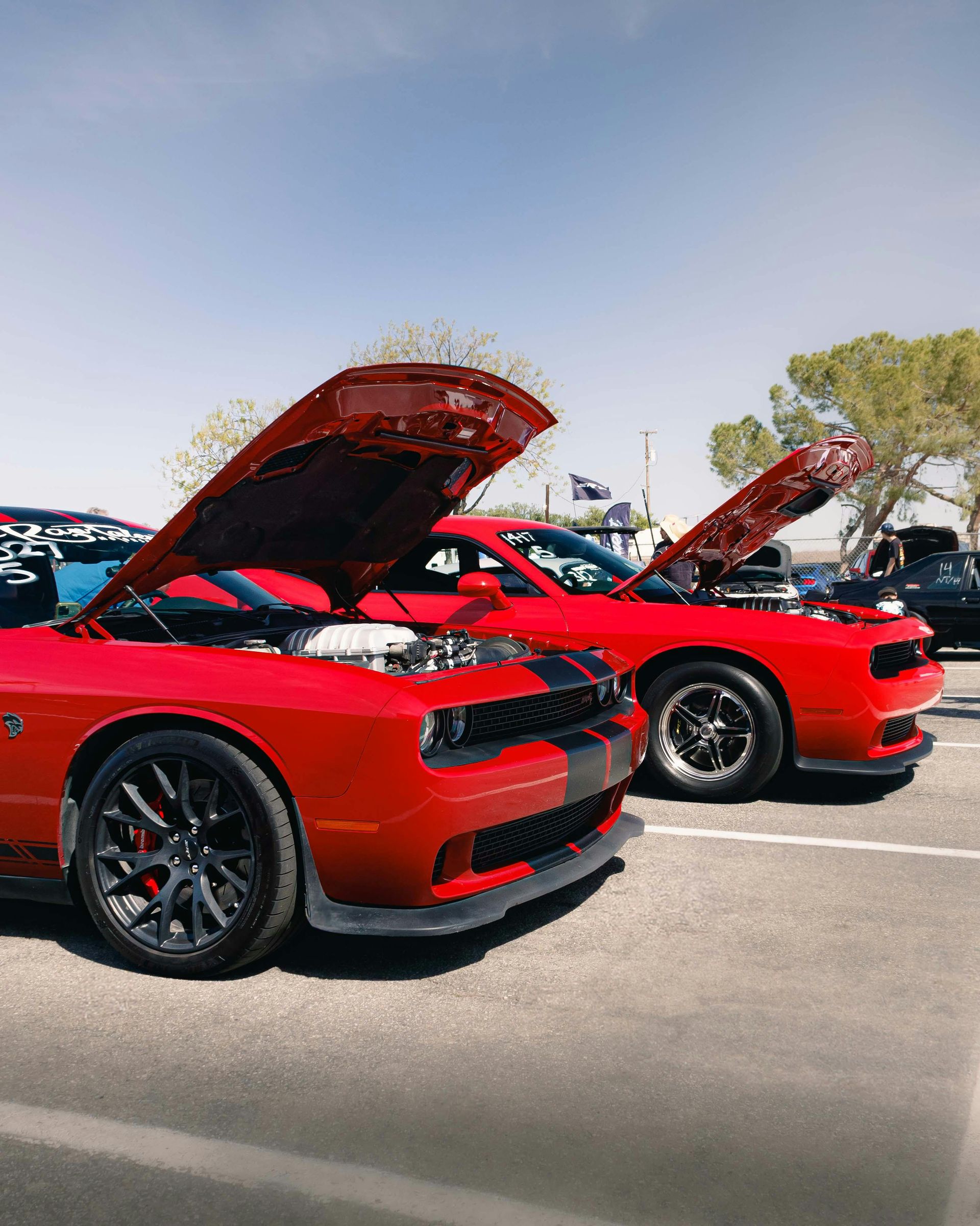 Two bright red Dodge Challenger muscle cars parked outdoors with their hoods open on a sunny day.