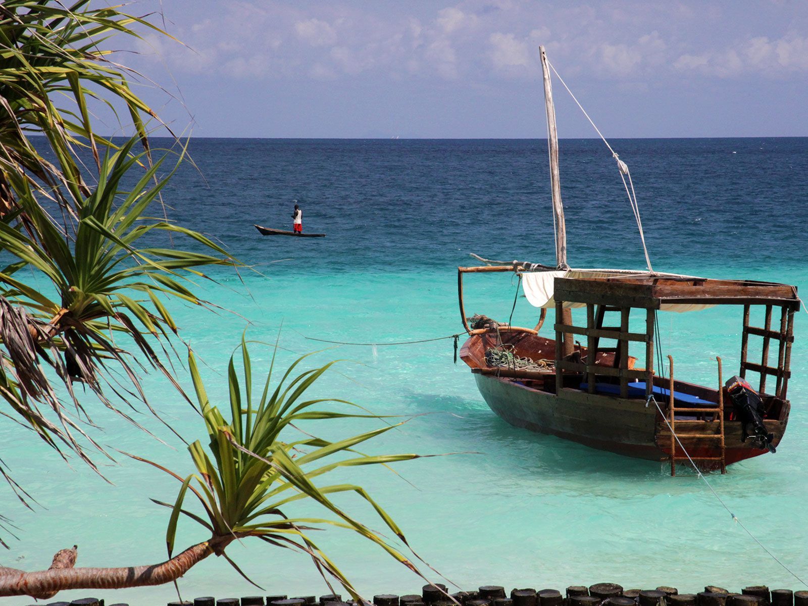 A boat is floating on the water near a palm tree