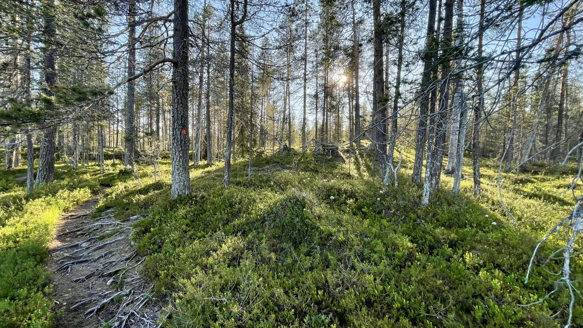 Lapiosalmen Matkailukeskus in Posio, Finland