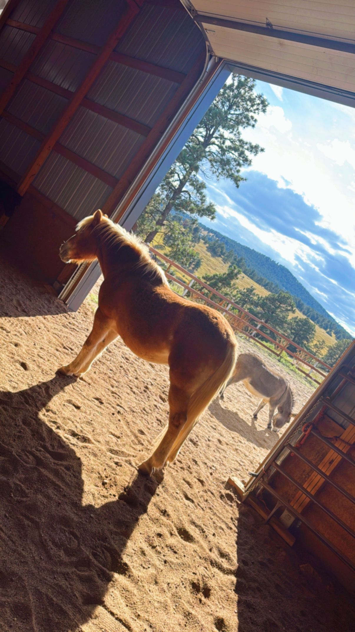 Meet the Herd