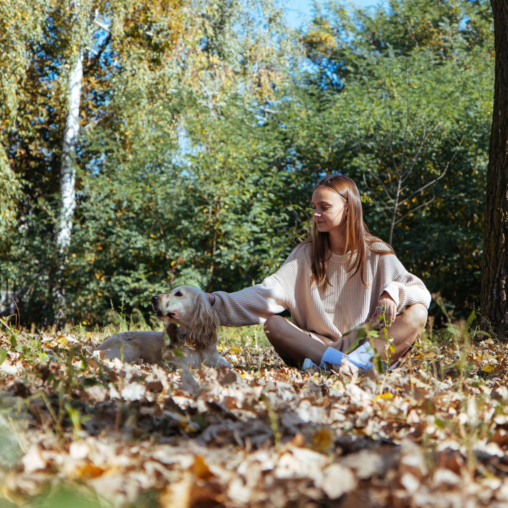 A person sitting in a forest covered in autumn leaves, gently petting a golden spaniel dog.