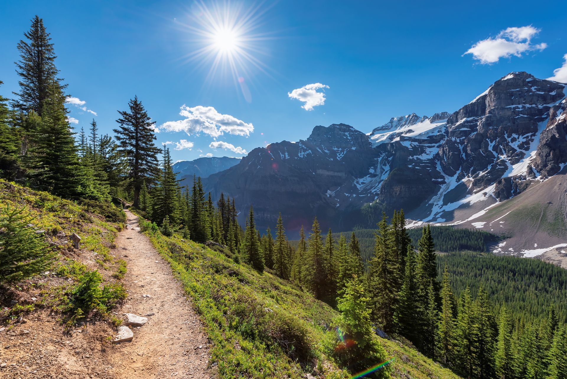 A dirt hiking trail winds along a forested mountain slope under a bright sun and a clear blue sky.