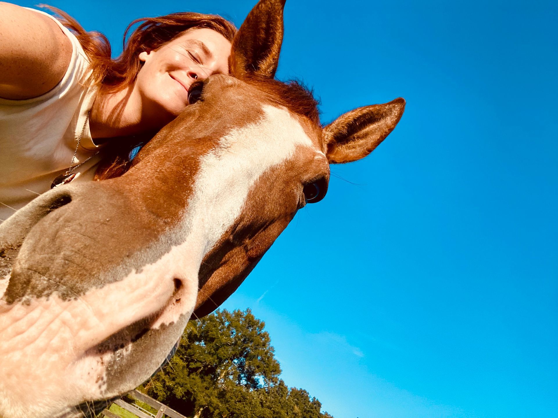 A person leans their cheek against the head of a brown and white horse under a clear blue sky.