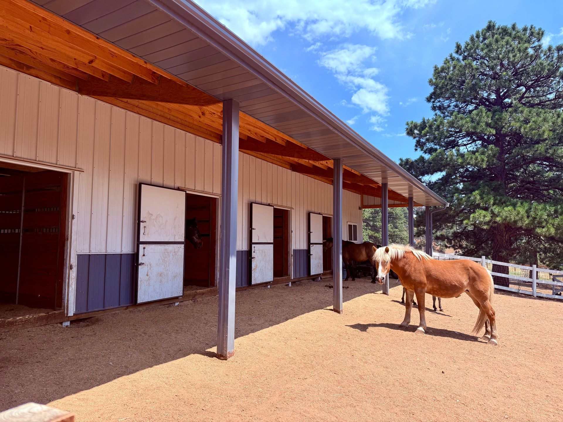A light brown horse stands in a sandy paddock outside a row of horse stalls under a covered wooden roof.