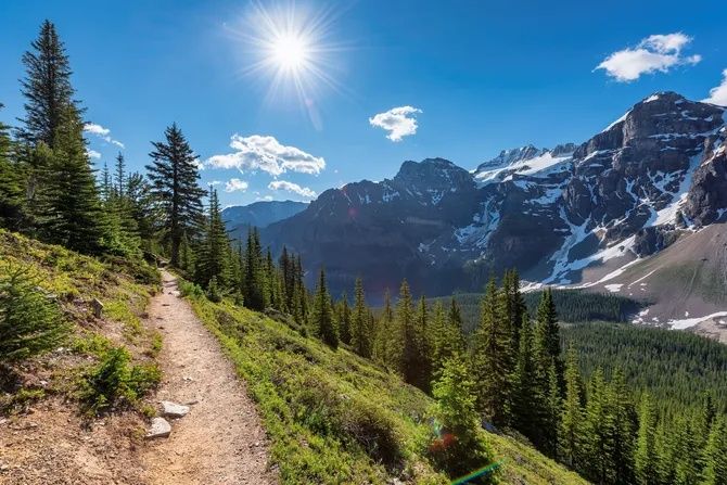 A dirt hiking trail winds along a forested mountain slope under a bright, sunny sky with distant snow-capped peaks.