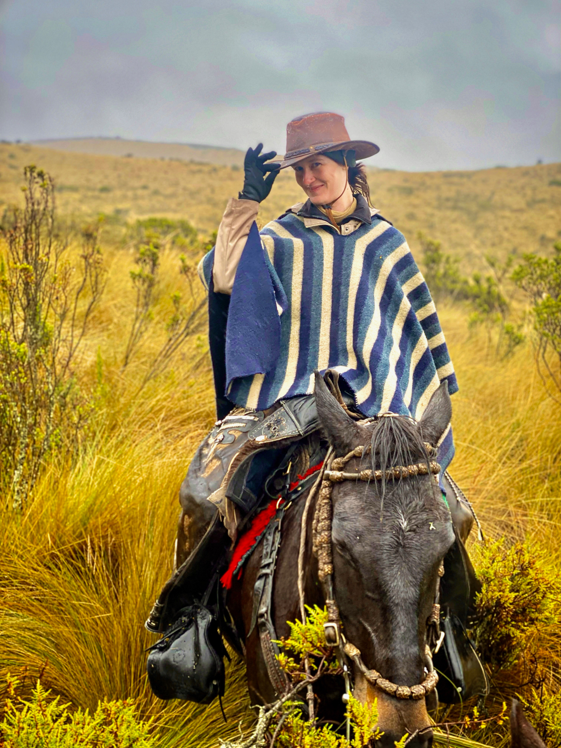 A person in a hat and patterned vest sits on a rustic wooden fence, offering a treat to a black horse in a sunny forest.