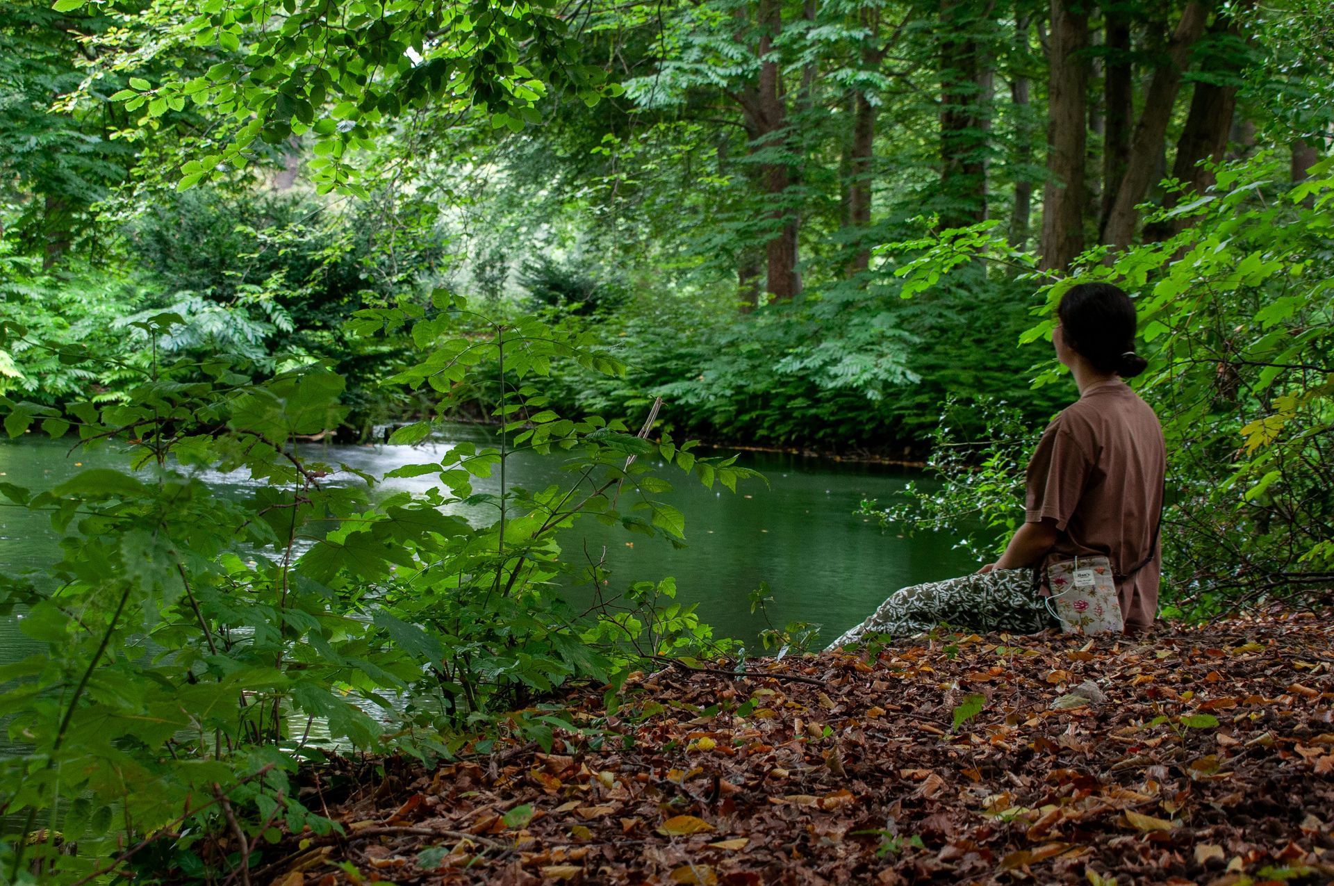 A person in a beige sweater sitting in a sunlit, leaf-covered forest, gently petting a light-colored dog.
