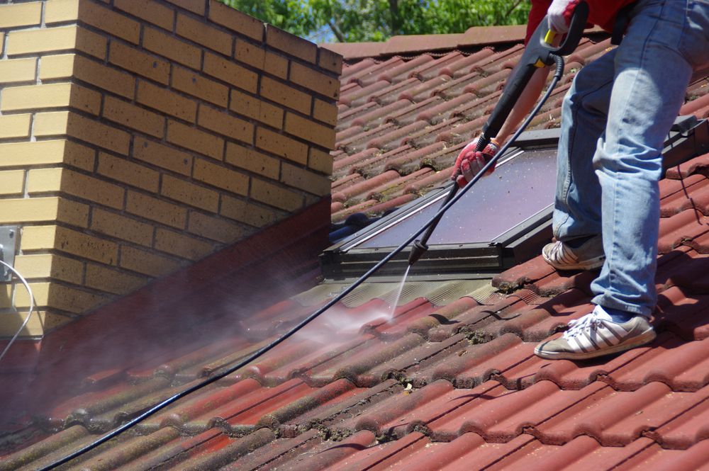 Pressure Washing Roof Tiles — Pain in the Glass Window Cleaning in Cannonvale, QLD