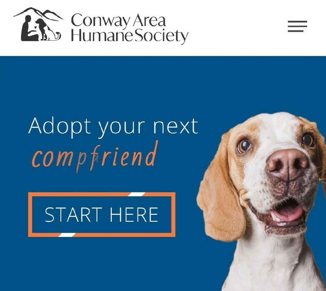 Adopt your next 