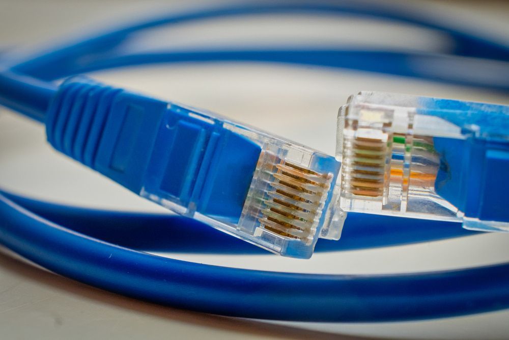 Two Blue Ethernet Cables Are Connected To Each Other — Comms Cabling Central Coast In Kanwal, NSW
