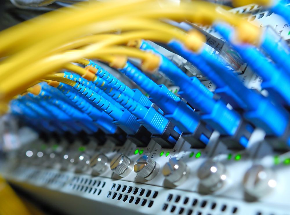Network Cables Plugged Into a Server Switch With Green Status Lights — Comms Cabling Central Coast In Kanwal, NSW