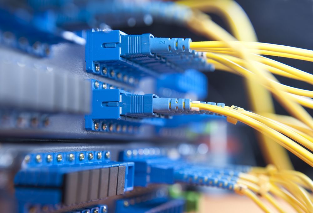 Blue Fiber Optic Cables Connected to A Network Switch in A Server Rack — Comms Cabling Central Coast In Kanwal, NSW