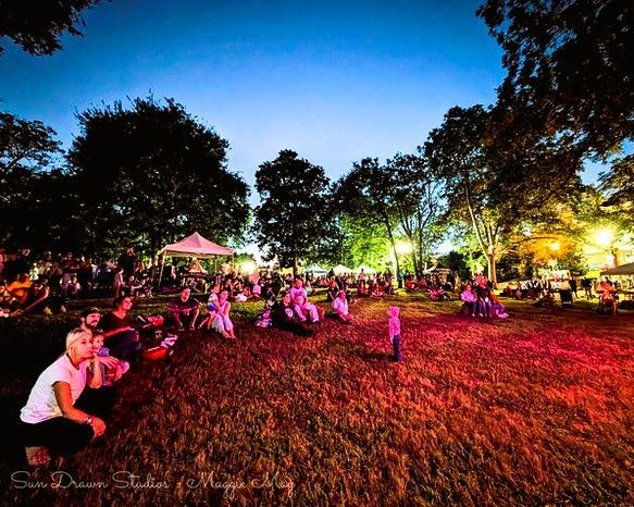 Crowd seated on grass at a colorful nighttime outdoor concert under trees and lights