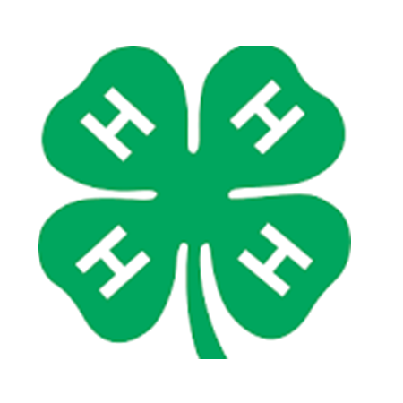 logo for 4-H organization - green clover with H ion each leaf