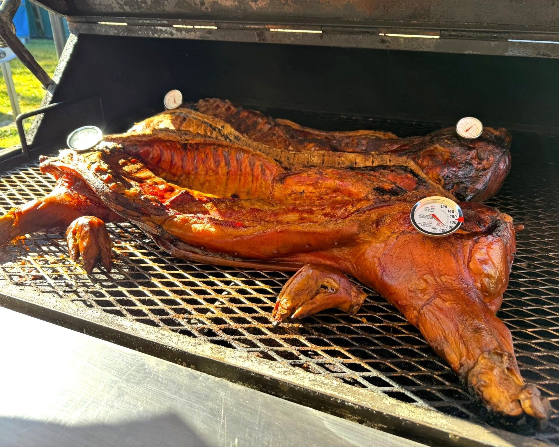 Roasted pig on a grill, golden brown with thermometers inserted, cooking outdoors.
