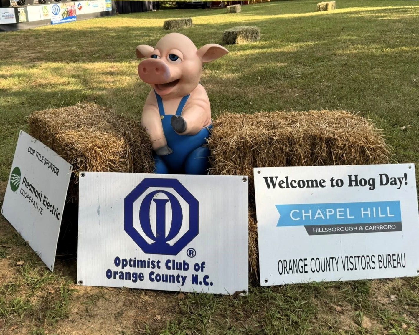 Pig statue among Hod Day signs on a grassy lawn, including Chapel Hill and Optimist Club banners