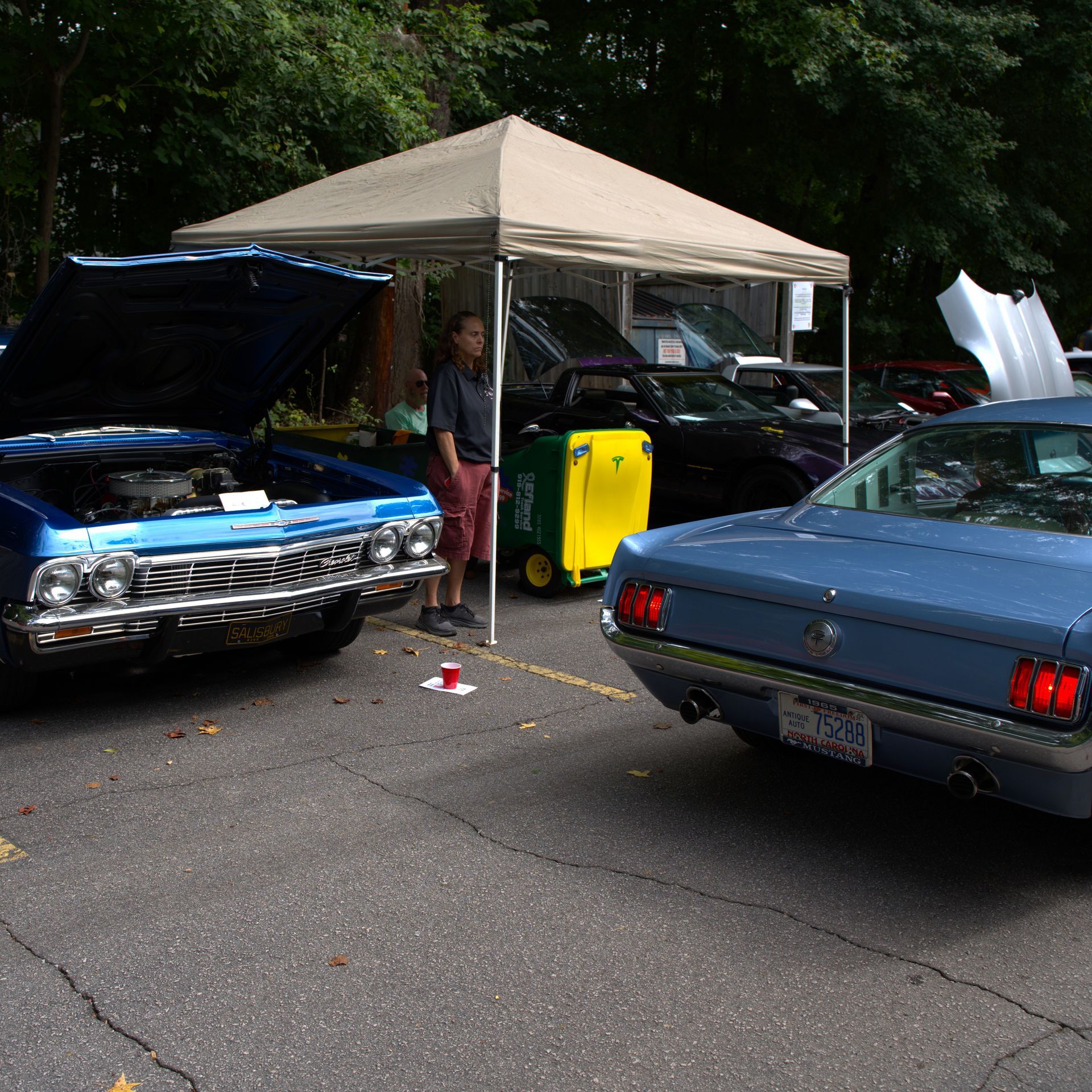 Classic cars parked at an outdoor show under a beige canopy, with a person standing between them.