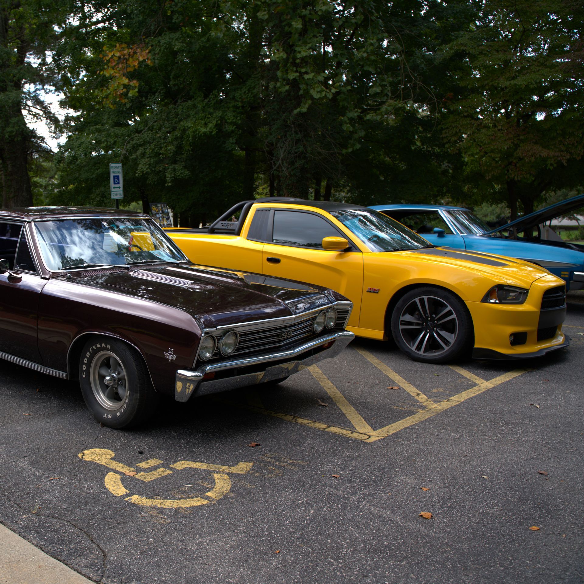 Two classic cars and a yellow sports car parked in a lot under trees