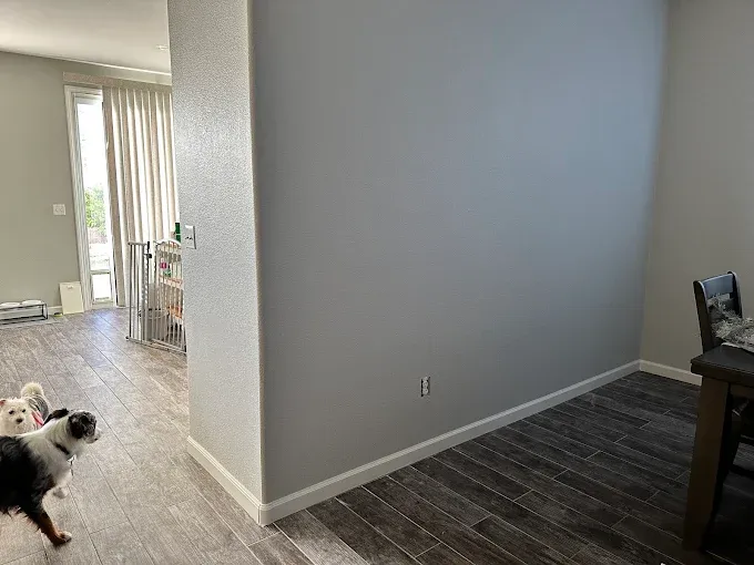 Two dogs near a gray-painted wall and dark wood-look floor. Dining room with white trim and a window.