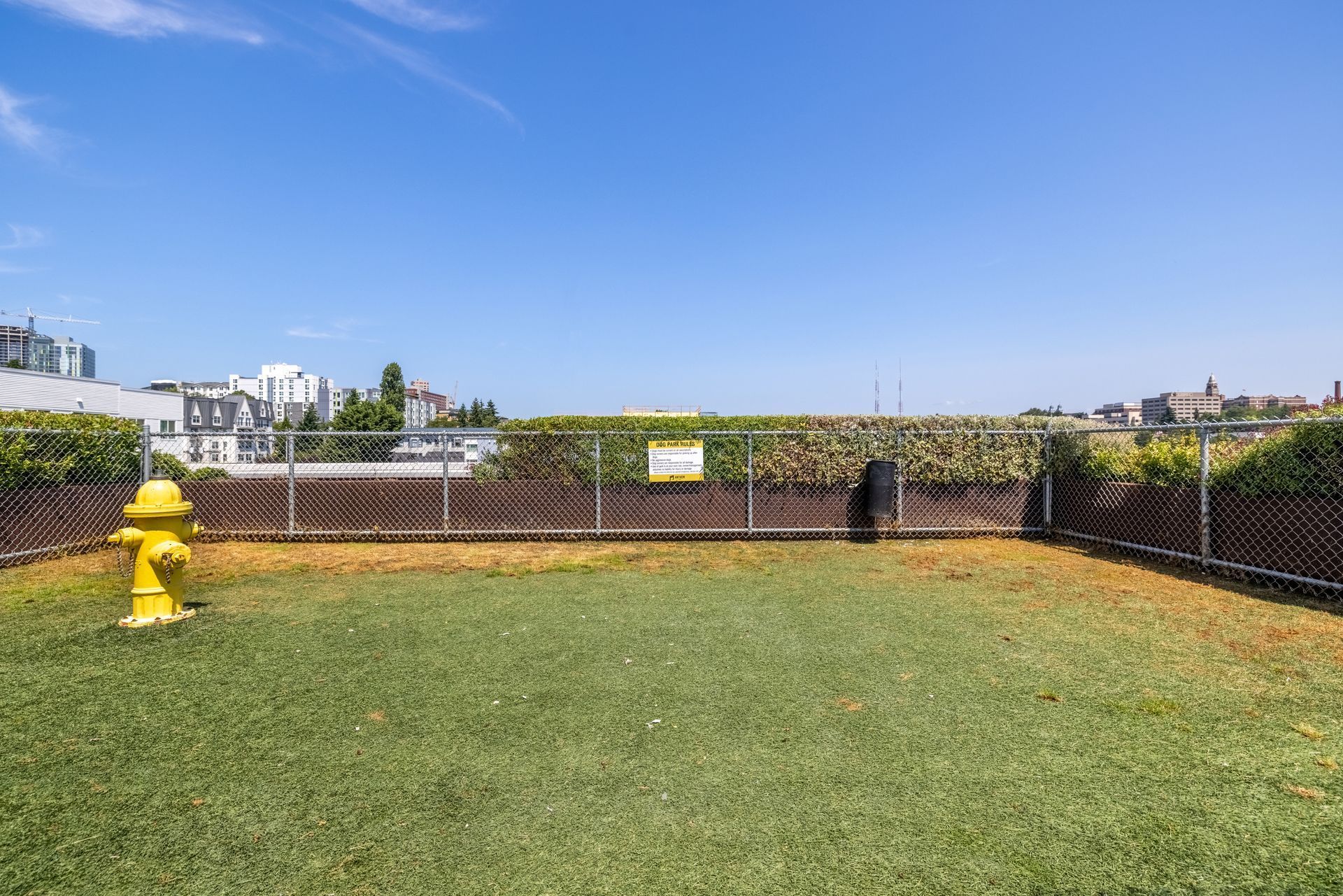 Grassy rooftop lawn with a yellow fire hydrant, black fence, and city skyline under a blue sky at Anthem on 12th, offering luxury apartments in Capitol Hill.