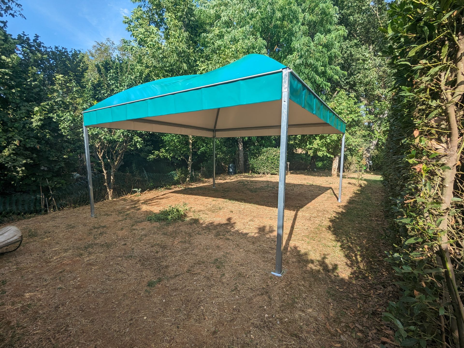 Tenda a baldacchino blu su una radura sterrata circondata da alberi e cespugli.