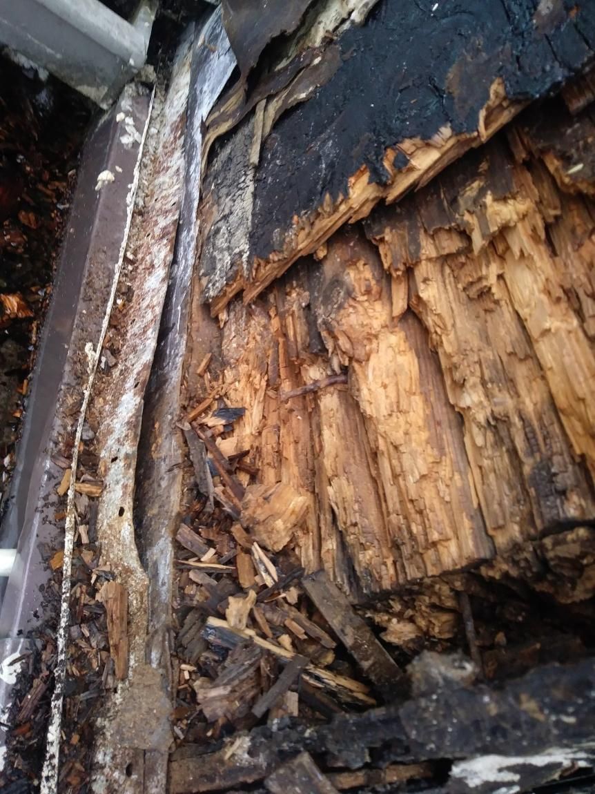 Close-up of a decayed wooden structure with blackened, charred edges and exposed splintered wood