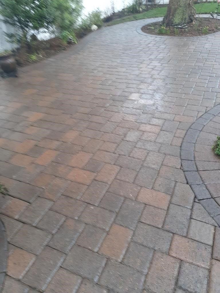 Wet brick pathway curving through a garden with trees and plants along the edge