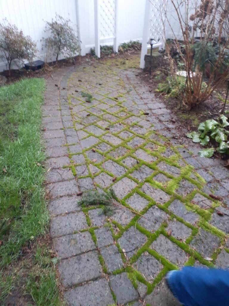 Moss-covered brick walkway through a garden beside a white building
