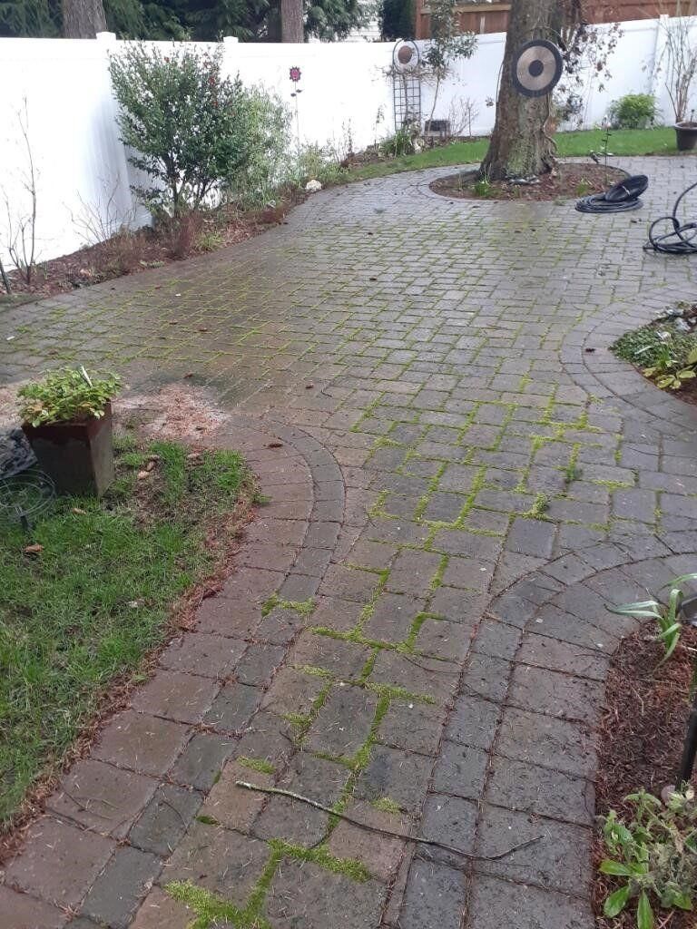Curved cobblestone garden path with moss, bordered by plants and a tree trunk beside a white wall.