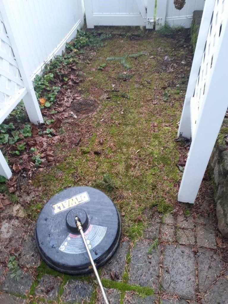 Mossy narrow backyard path with paving stones and a round drain cover in the foreground