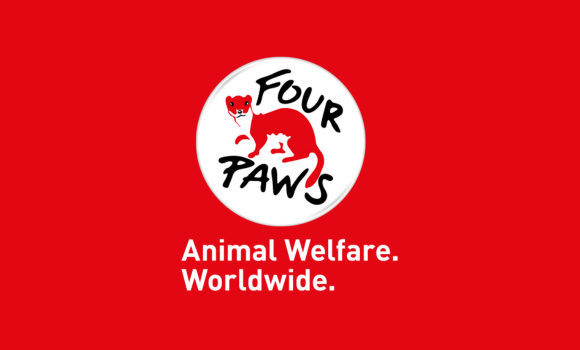 The logo for four paws animal welfare worldwide