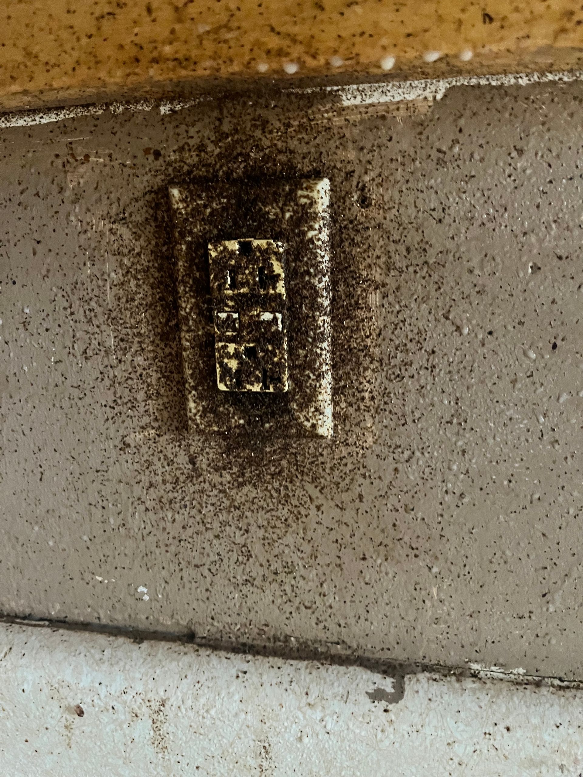An electrical outlet is covered by a swarm of tiny black insects on a textured, light-colored wall.